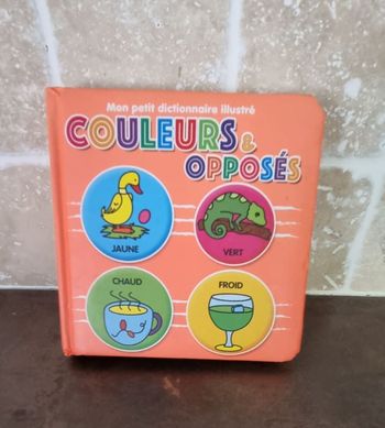 petit dictionnaire couleurs et opposés