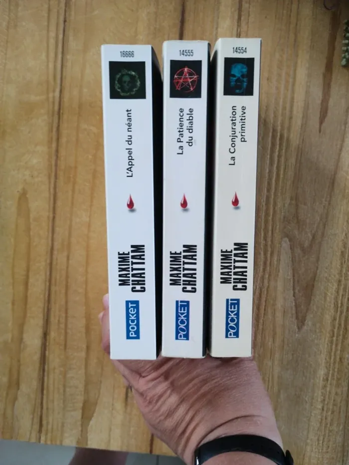 Saga "Ludivine Vancker" - Tome 1 à 3 - Maxime Chattam - photo numéro 2