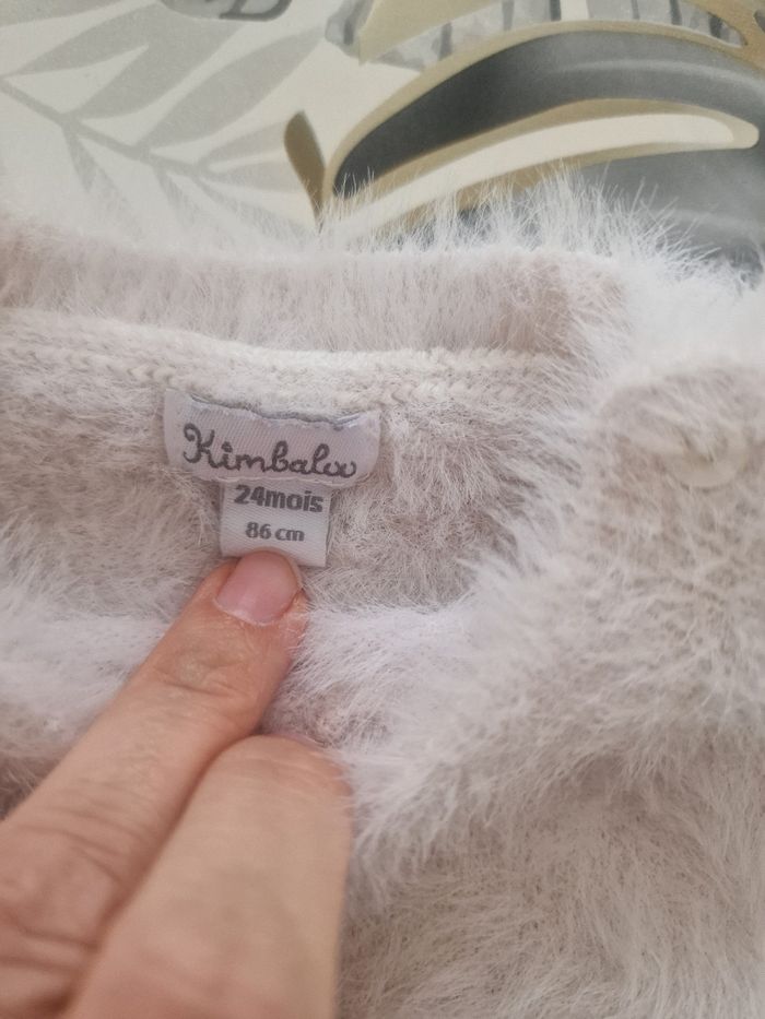 Pull à poils - photo numéro 3