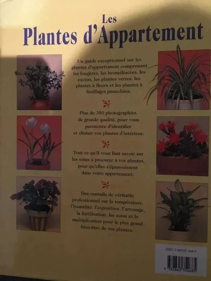 Les plantes d'appartement état neuf - photo numéro 4