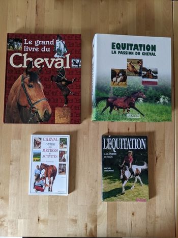 Lot livres et fiches cheval/équitation