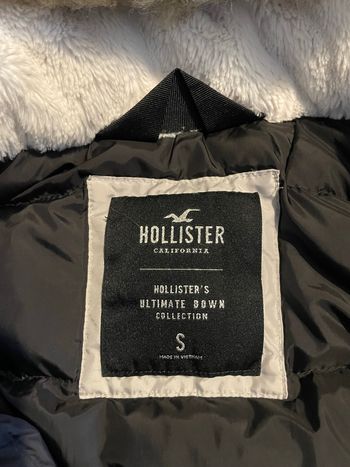 Parka Hollister