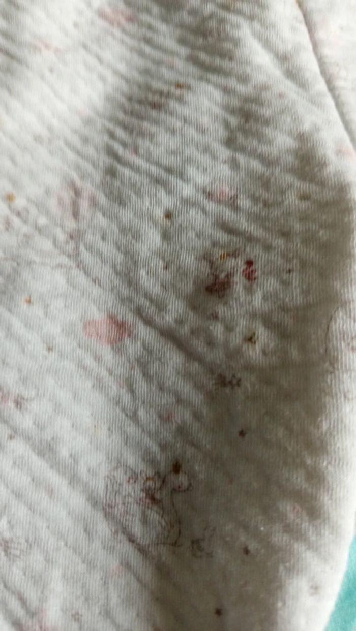 Pantalon avec pied 6 mois fille - photo numéro 2