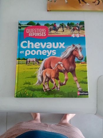 Livre chevaux et poney 4/6ans
