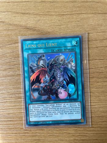 Carte Yu-Gi-Oh! : Liens qui lient - LEDE-FR053