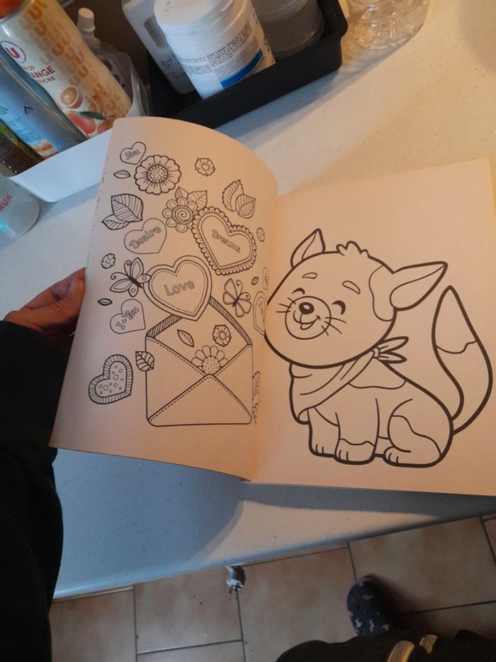 Gros livre de coloriage - photo numéro 9