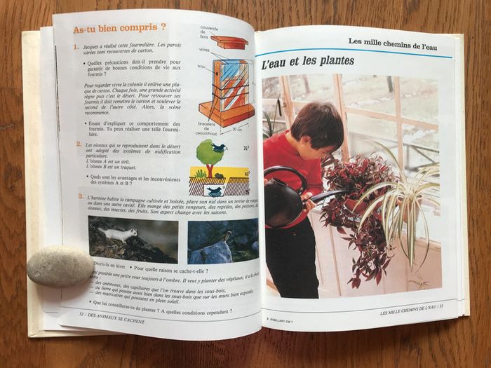 Activités scientifiques CM1 - Guy Robillard - photo numéro 2