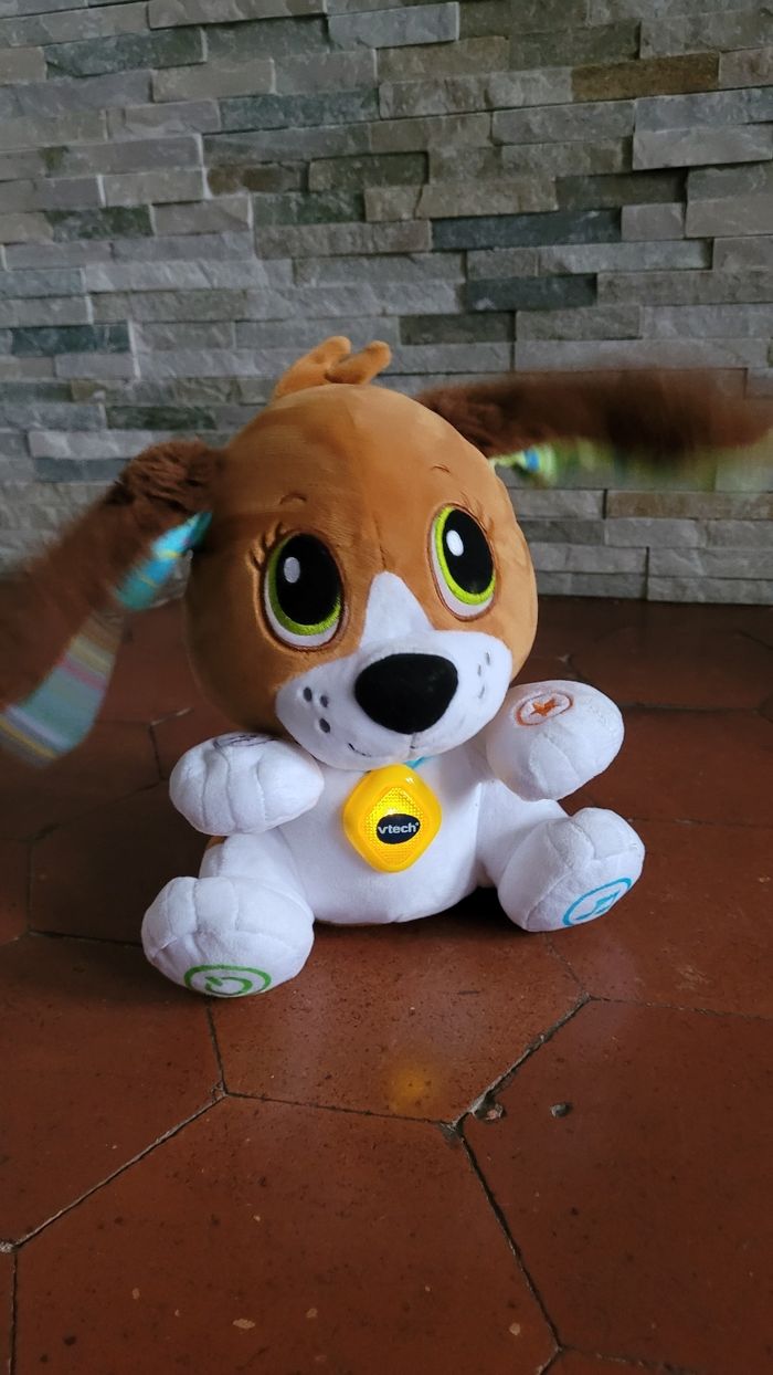 Chien interactif - photo numéro 2