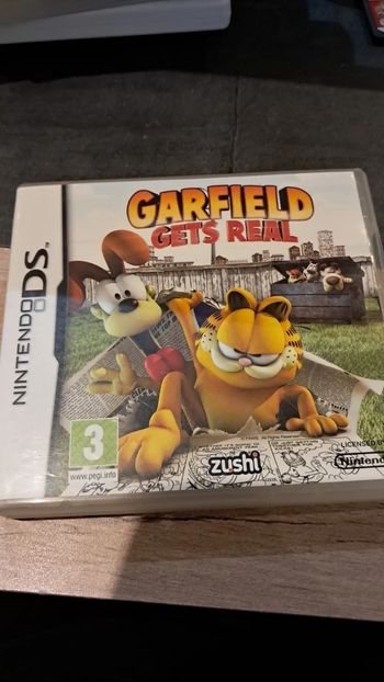 garfield ds