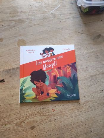 Livre macdo happy meal