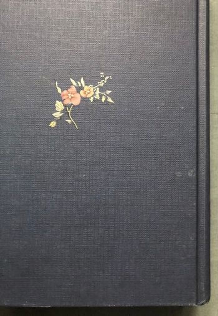 Jane Eyre de Charlotte Brontë - photo numéro 4