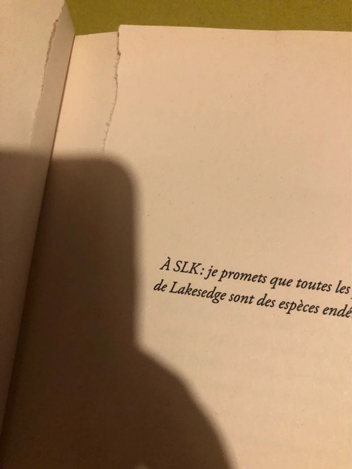Livre le manoir de lakesedge - photo numéro 5