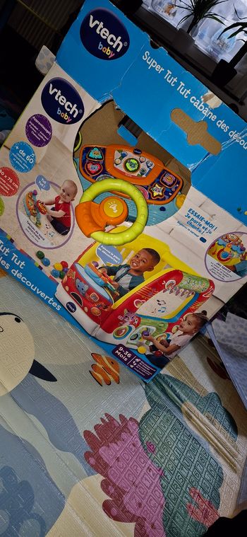 Cabane découverte vtech 