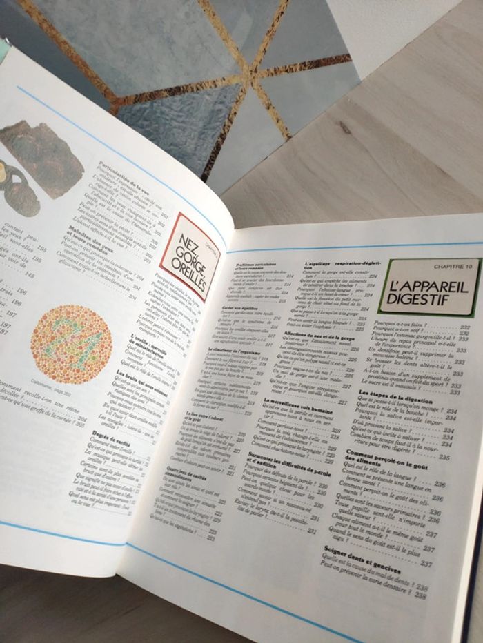 Livre grand format merveilles et secrets du corps humain questions réponses famille - photo numéro 13