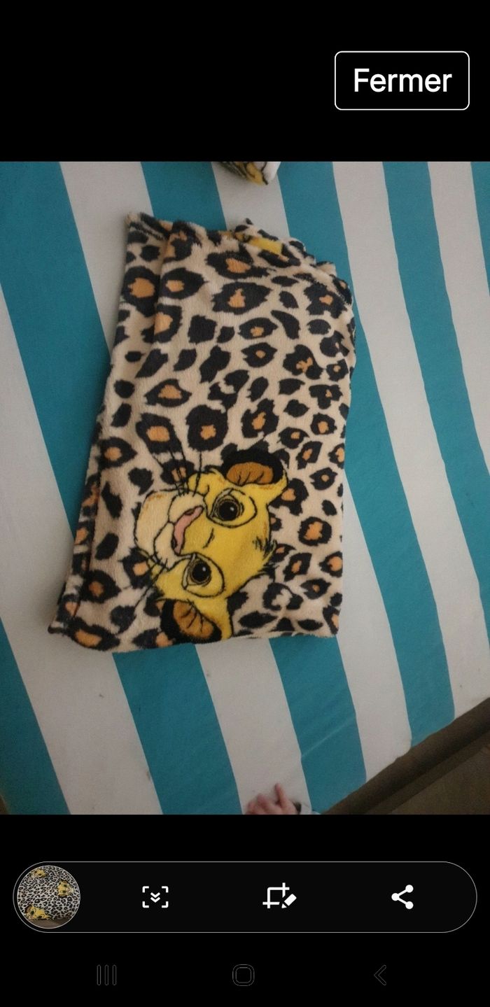 Plaid roi lion - photo numéro 2