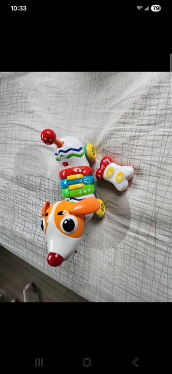 Chien télécommande