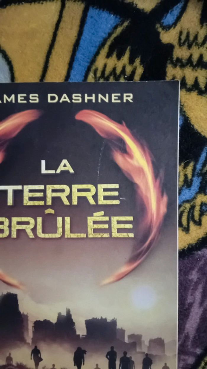 Livre la terre brûlée le labyrinthe - photo numéro 2