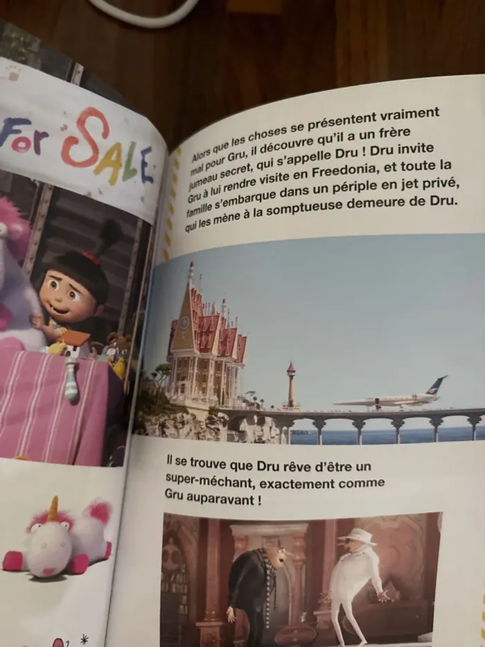 Moi, moche et méchant- le roman du film - photo numéro 7