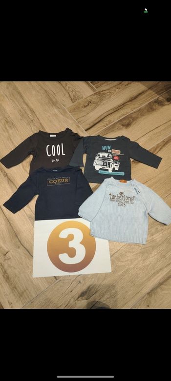 Lot 3 t-shirts manches longues dont maman camion et 1 pull