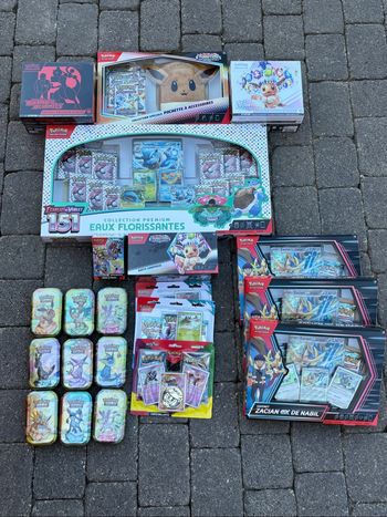 Lot Pokémon
