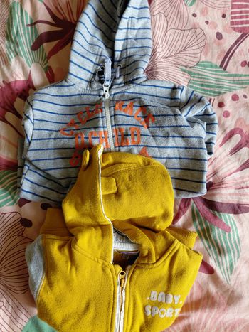 Lot de 2 sweat à capuche