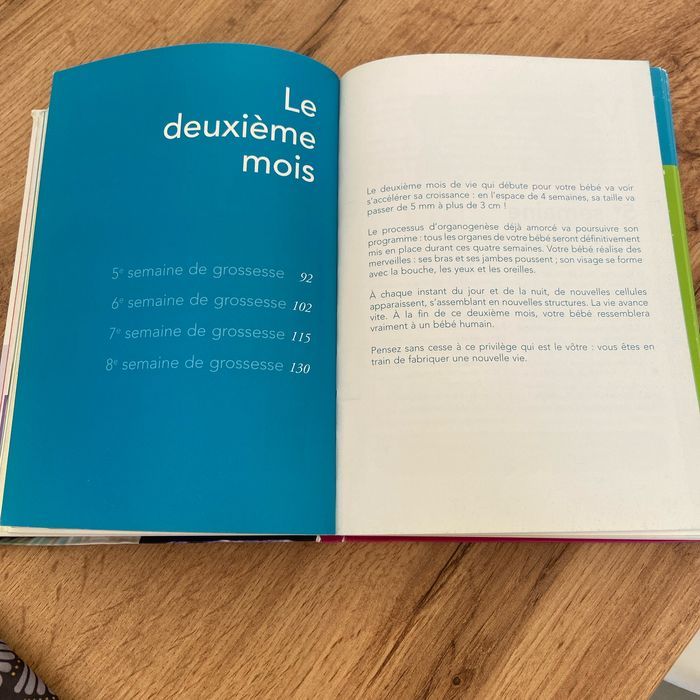 Live détaillé sur la grossesse - photo numéro 3