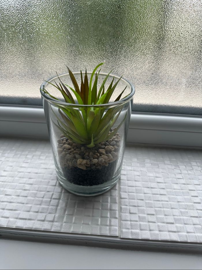 Plante artificielle sous verre