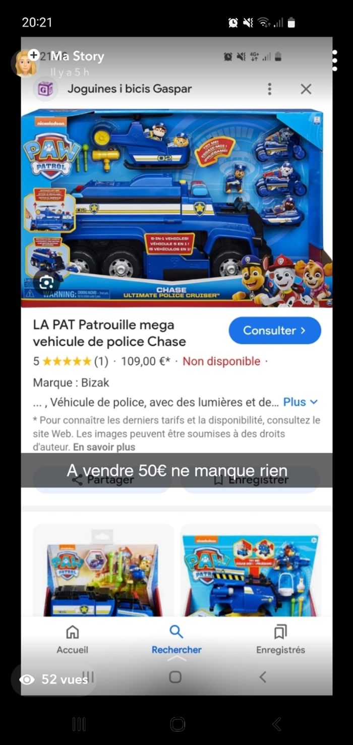 Camion pat patrouille police chase