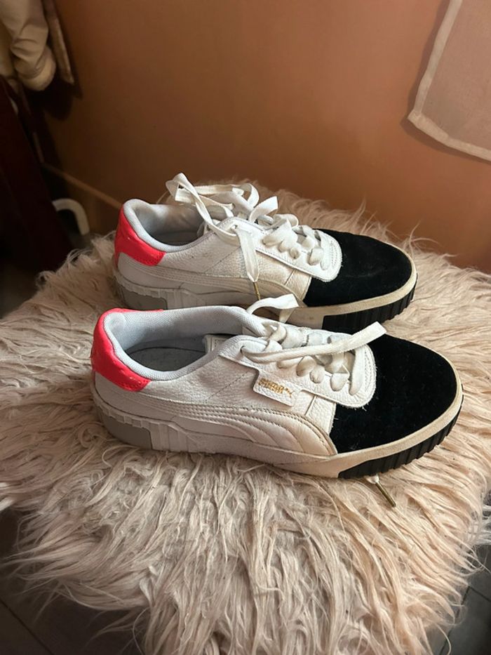 Basket puma