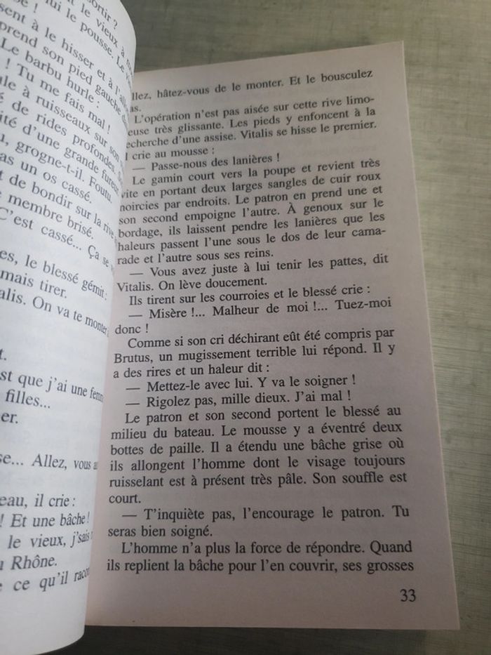 Livre brutus - photo numéro 3