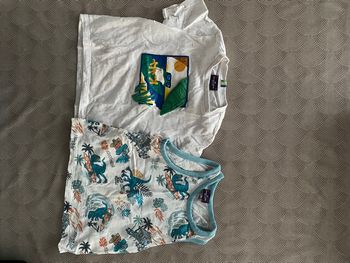 Lot t shirt et débardeur bébé garcon 