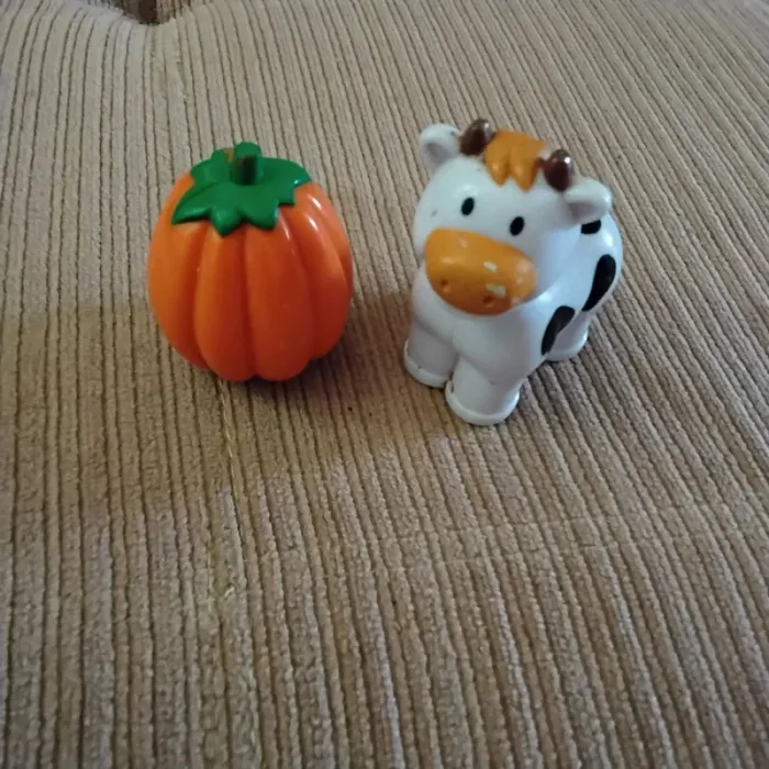 Vache et citrouille