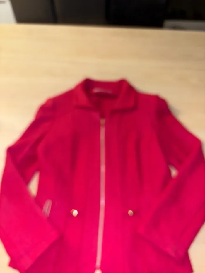 Blazers rose - photo numéro 2