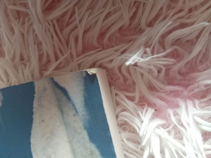 Livre - photo numéro 6