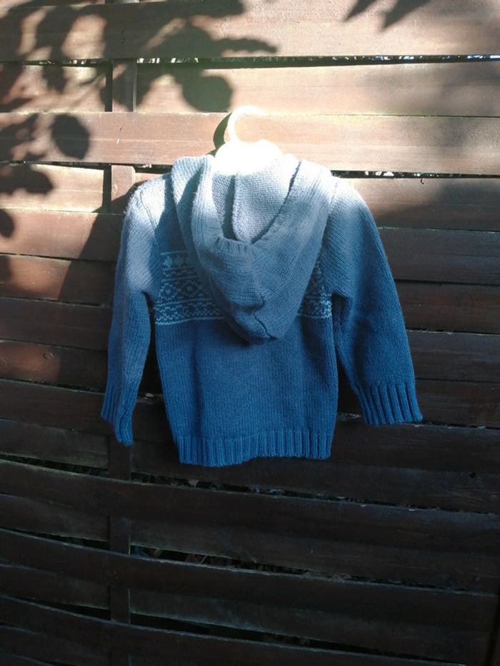 Petite veste à capuche bébé - photo numéro 3
