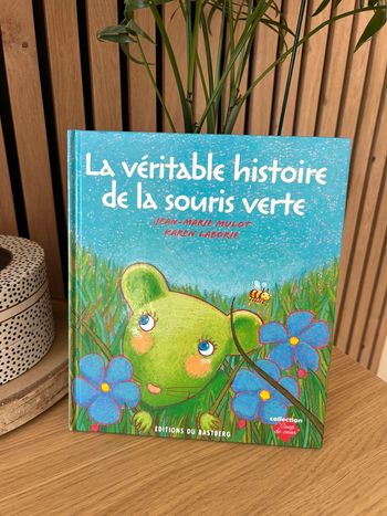 Livre enfant souris verte