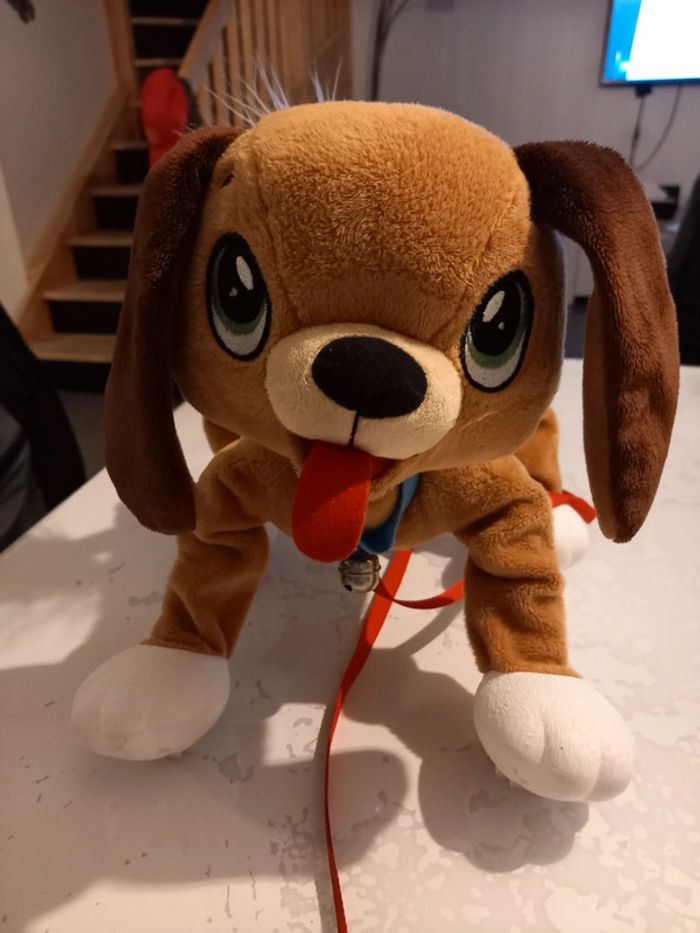 Chien toufous