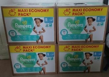 Couches pampers harmonie T5