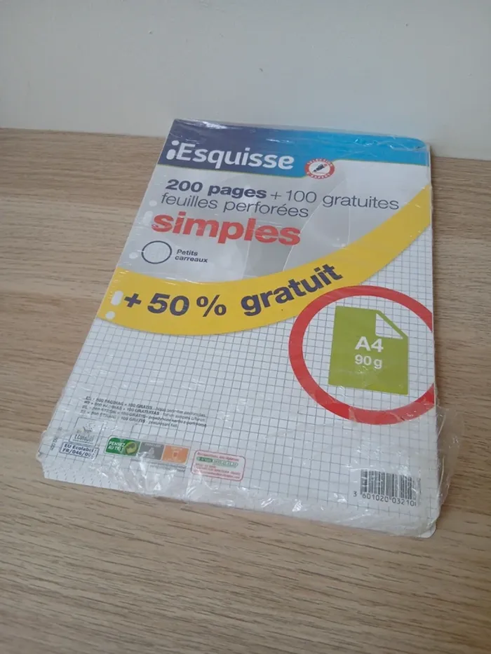 Lot 1 classeurs A4 + 2 paquets de feuilles petits carreaux - photo numéro 5