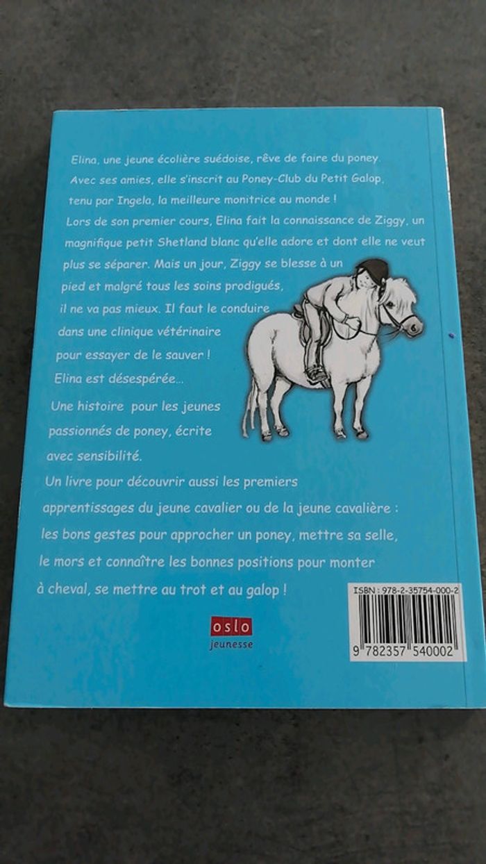 Livre tout le monde aime ziggy - photo numéro 2