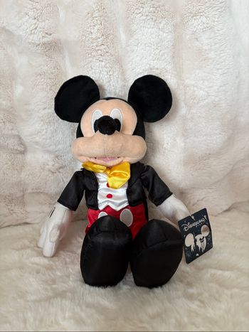 Peluche Mickey Costume