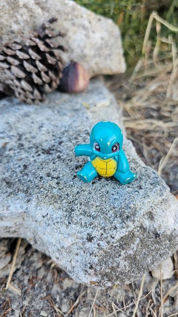 Super figurine Pokemon carapuce