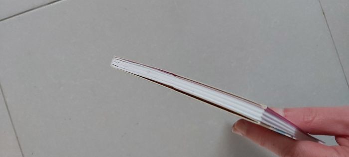 Les sisters Tome 13 Enfin des holidays - photo numéro 5