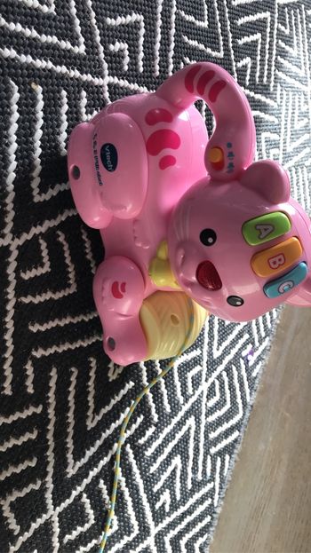 Chat rose que on tire et qui fait de la musique