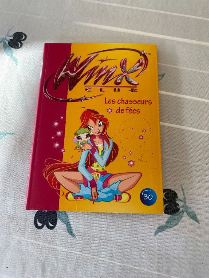 Winx - Les chasseurs de fées