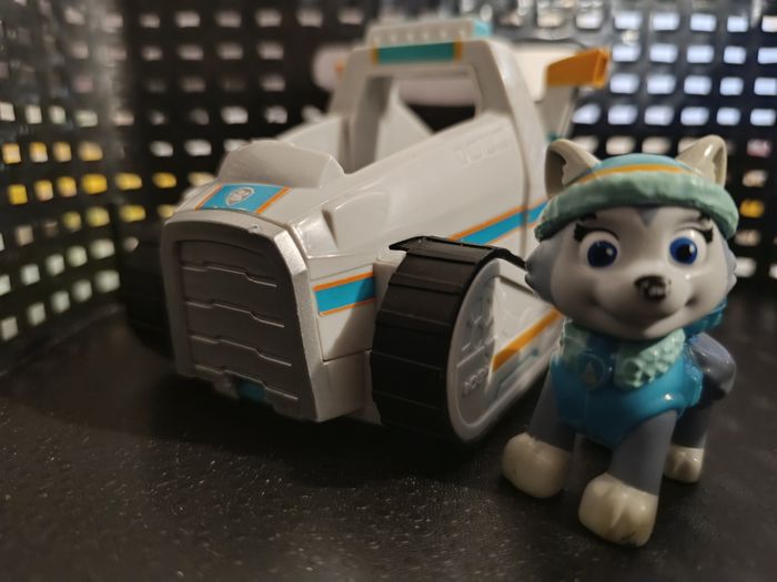 Pat patrouille, Everest - photo numéro 2