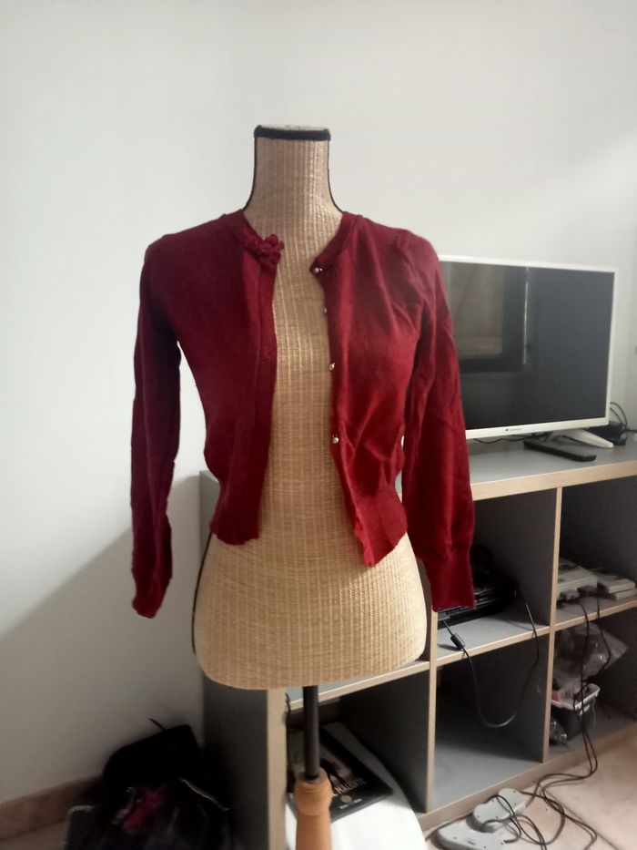 Gilet rouge - photo numéro 5