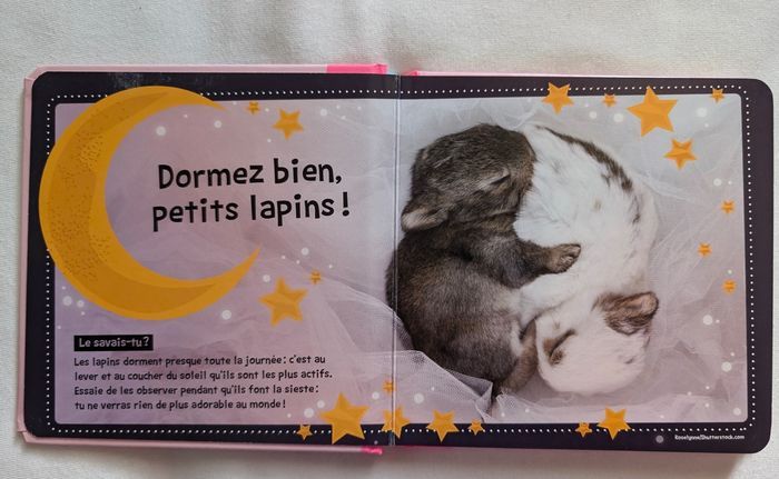 Livre enfant Lapins coquins, pages cartonnées - photo numéro 2