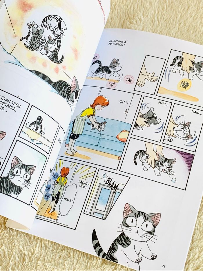 Lot 2 livres BD KFC - photo numéro 3