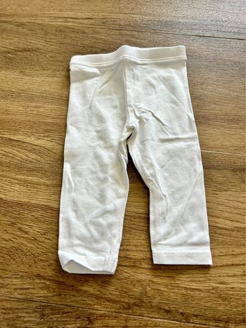 Legging